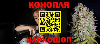 прущие грибы Лесосибирск