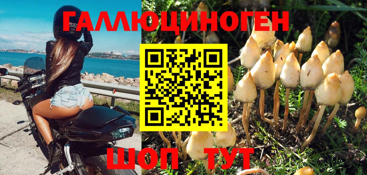 Псилоцибиновые грибы мицелий Усть-Илимск