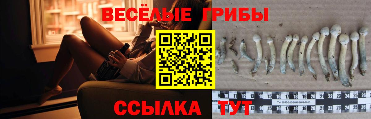 Меф МЯУ МЯУ   Усть-Илимск  ЭКСТАЗИ  МАРИХУАНА  КОКАИН  Вход с VPN  МДМА 